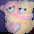 Twin Teddy Bears