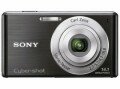 Sony Cybershot W530